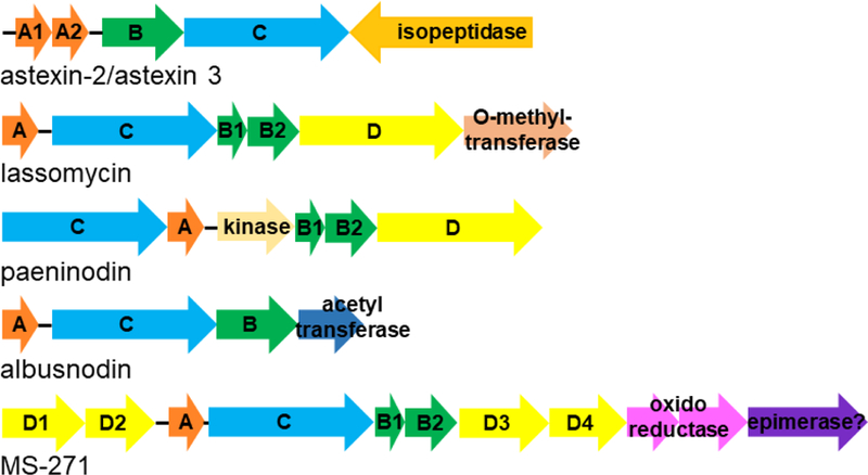 Figure 4: