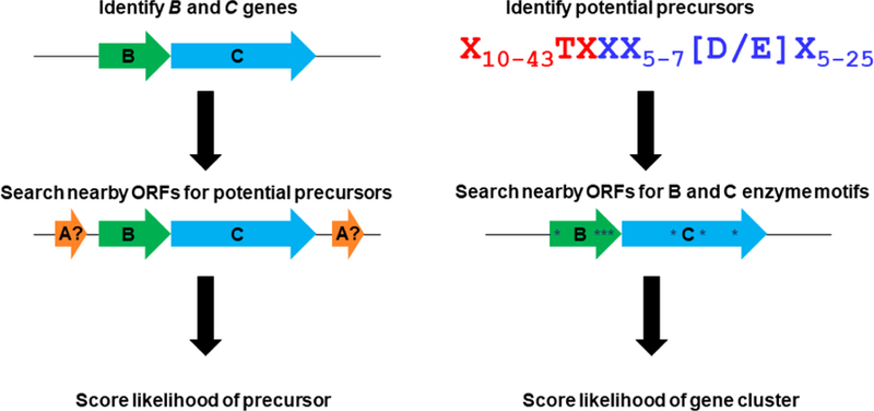 Figure 2: