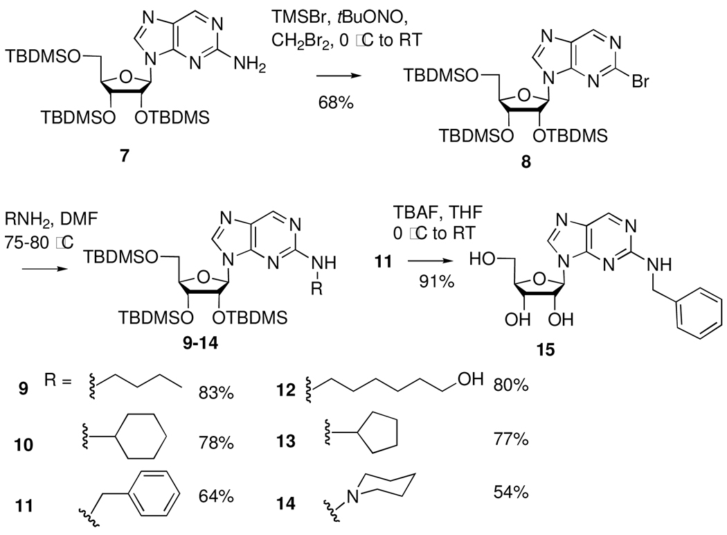 Scheme 2