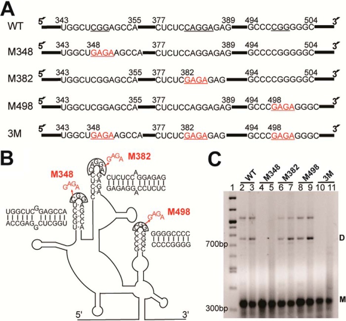 Figure 4.