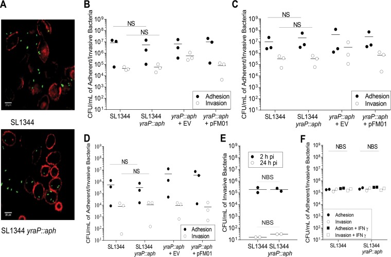 FIG 4