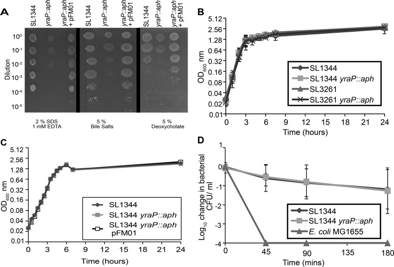 FIG 2