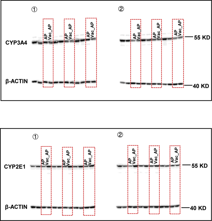 Supplementary Fig. 2