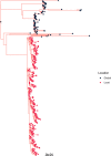 FIG 1