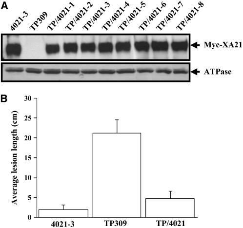 Figure 7.