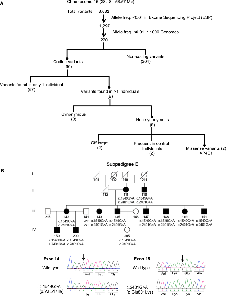 Figure 1