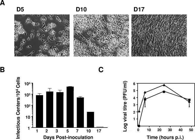 FIG. 7.