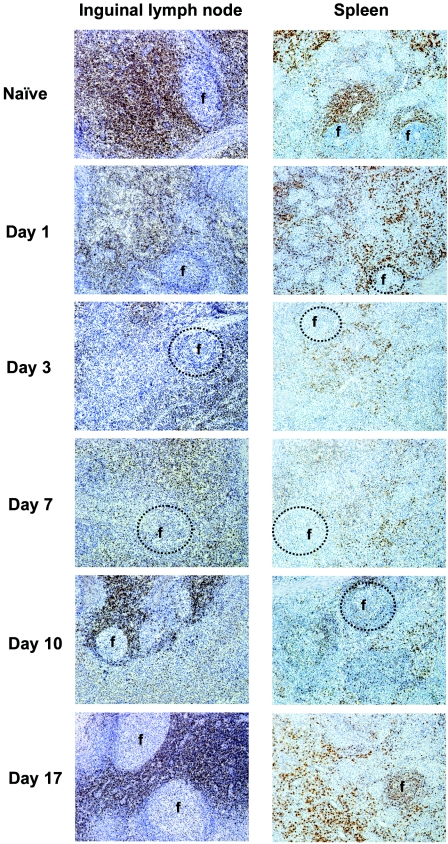 FIG. 4.