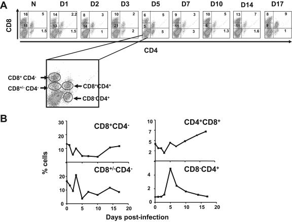 FIG. 2.