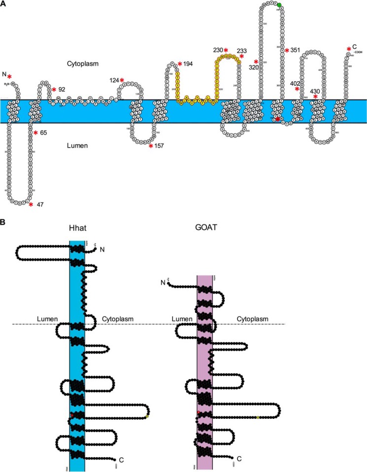 FIGURE 6.