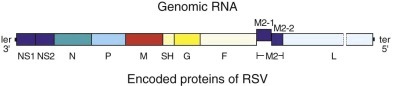 FIGURE 160-2