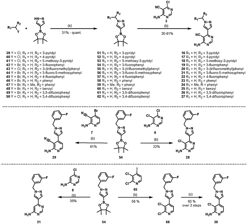 Scheme 3