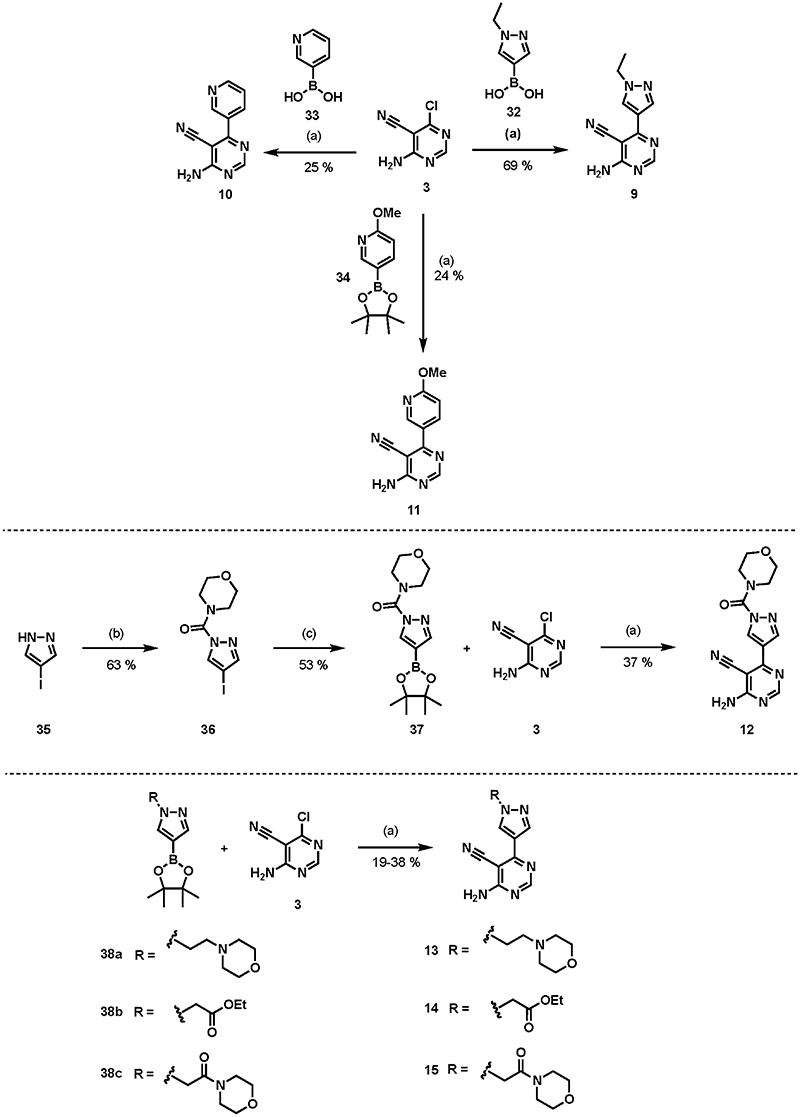 Scheme 2