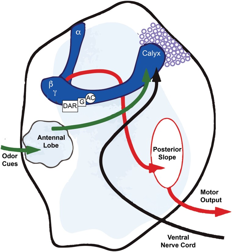 Fig. 2.