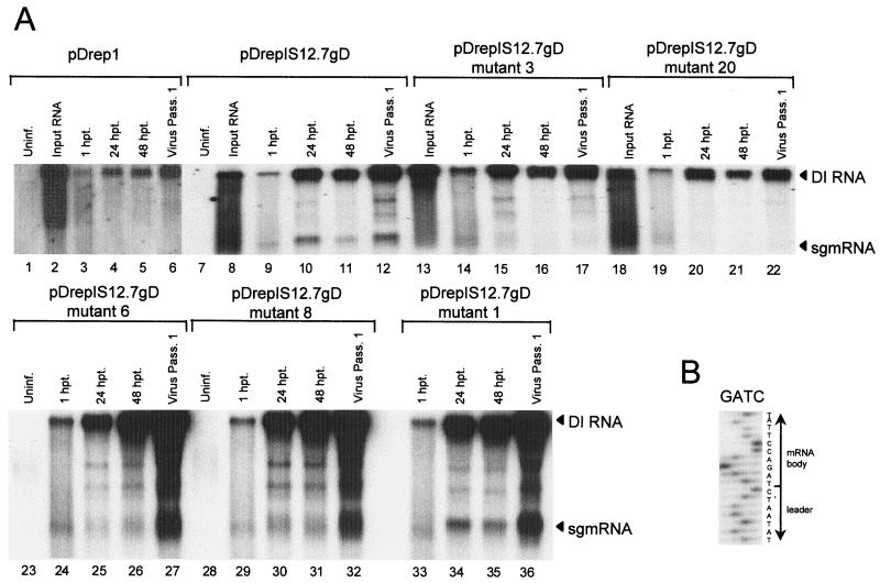 FIG. 3