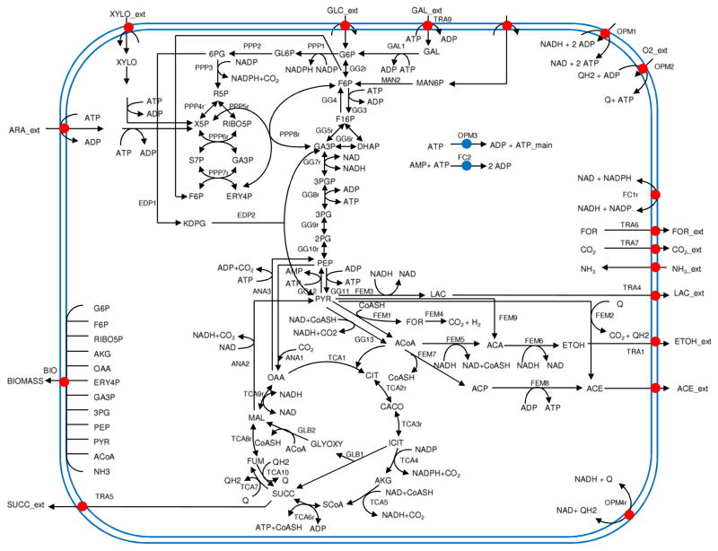 Fig. 1