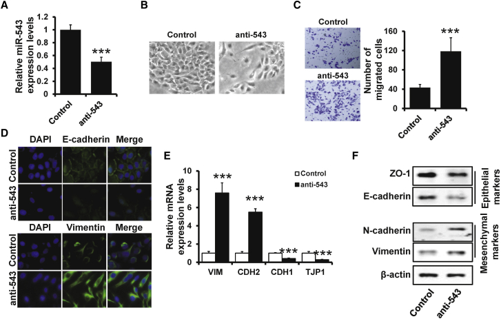 Figure 2