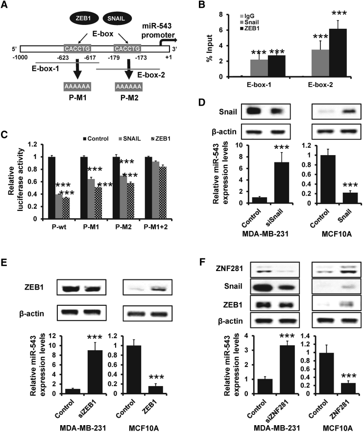 Figure 6