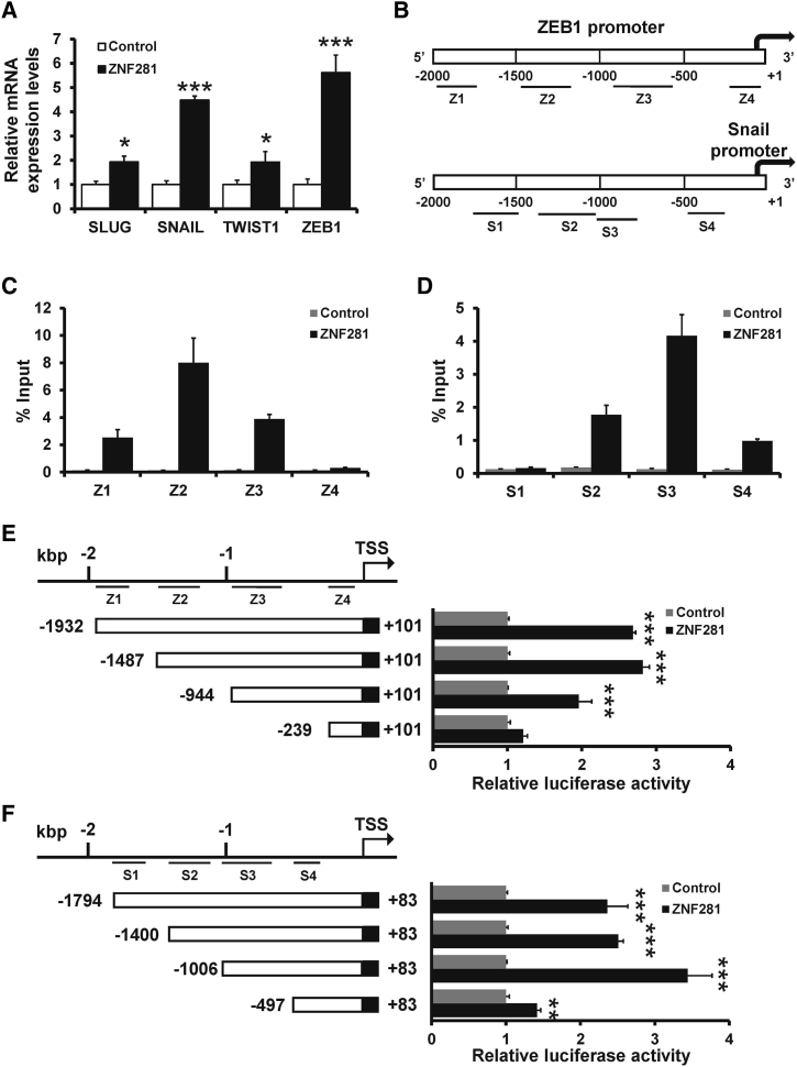 Figure 5