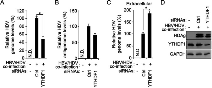 FIG 4