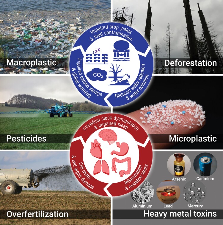 Graphical abstract