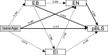 F<sc>ig</sc>. 2.—