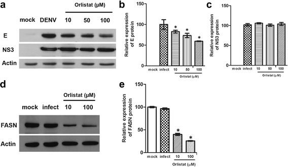 Fig. 11