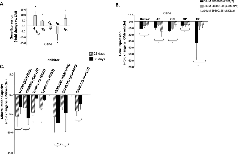 Figure 5: