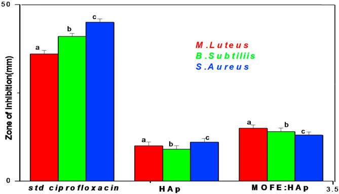 Fig. 10