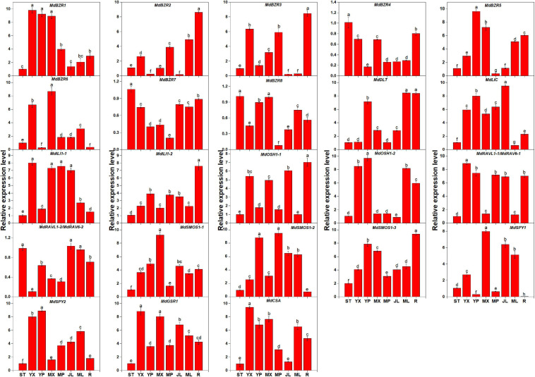 FIGURE 3