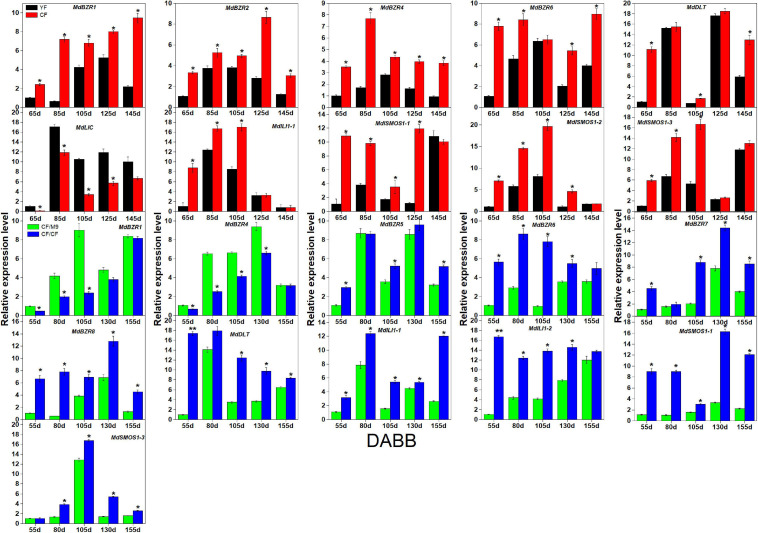 FIGURE 6