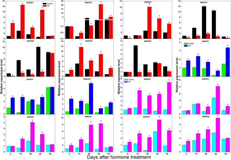 FIGURE 4