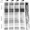 FIG. 6.