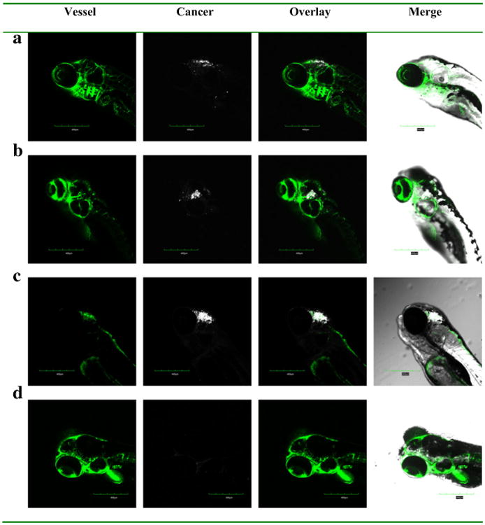 Fig. 8