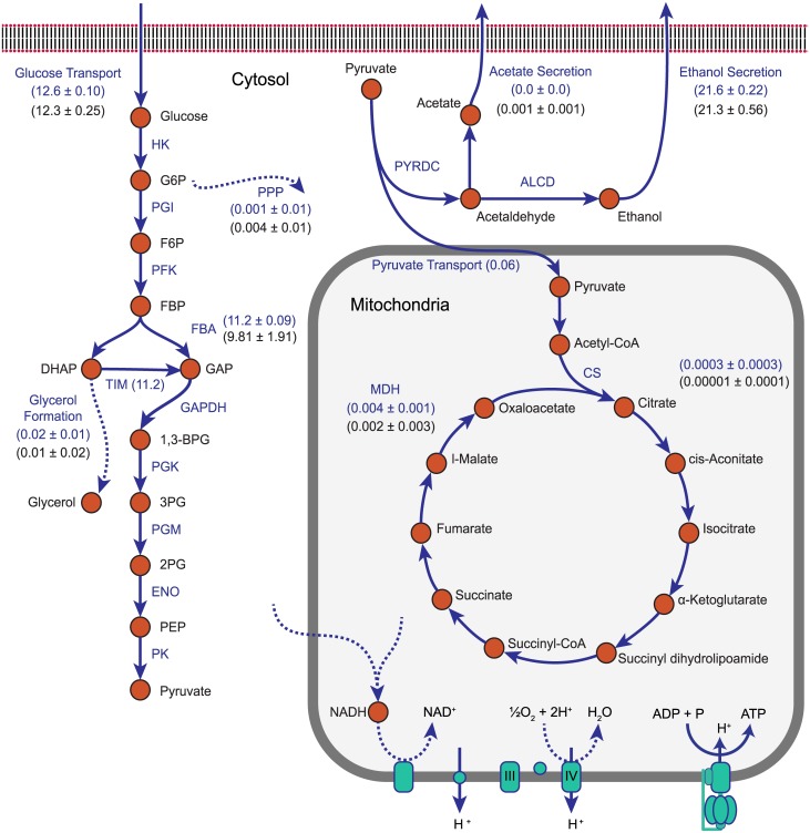 Fig 10