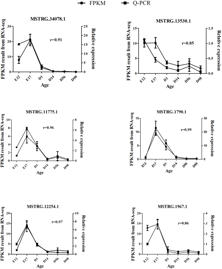 FIGURE 4