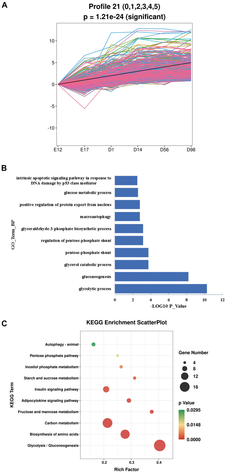 FIGURE 3