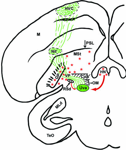 Fig. 2.