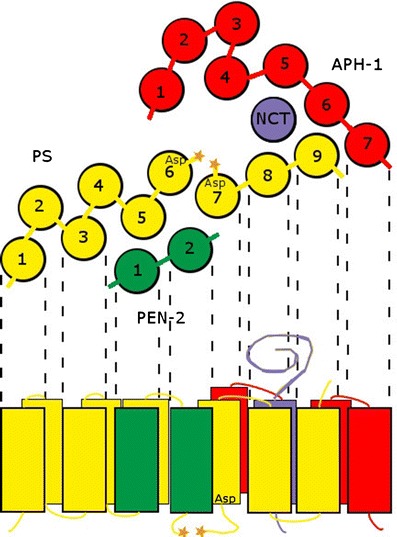 Fig. 1