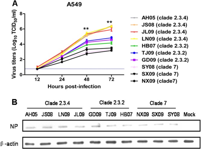 FIG 2