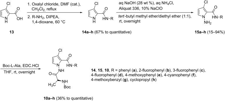 Scheme 2