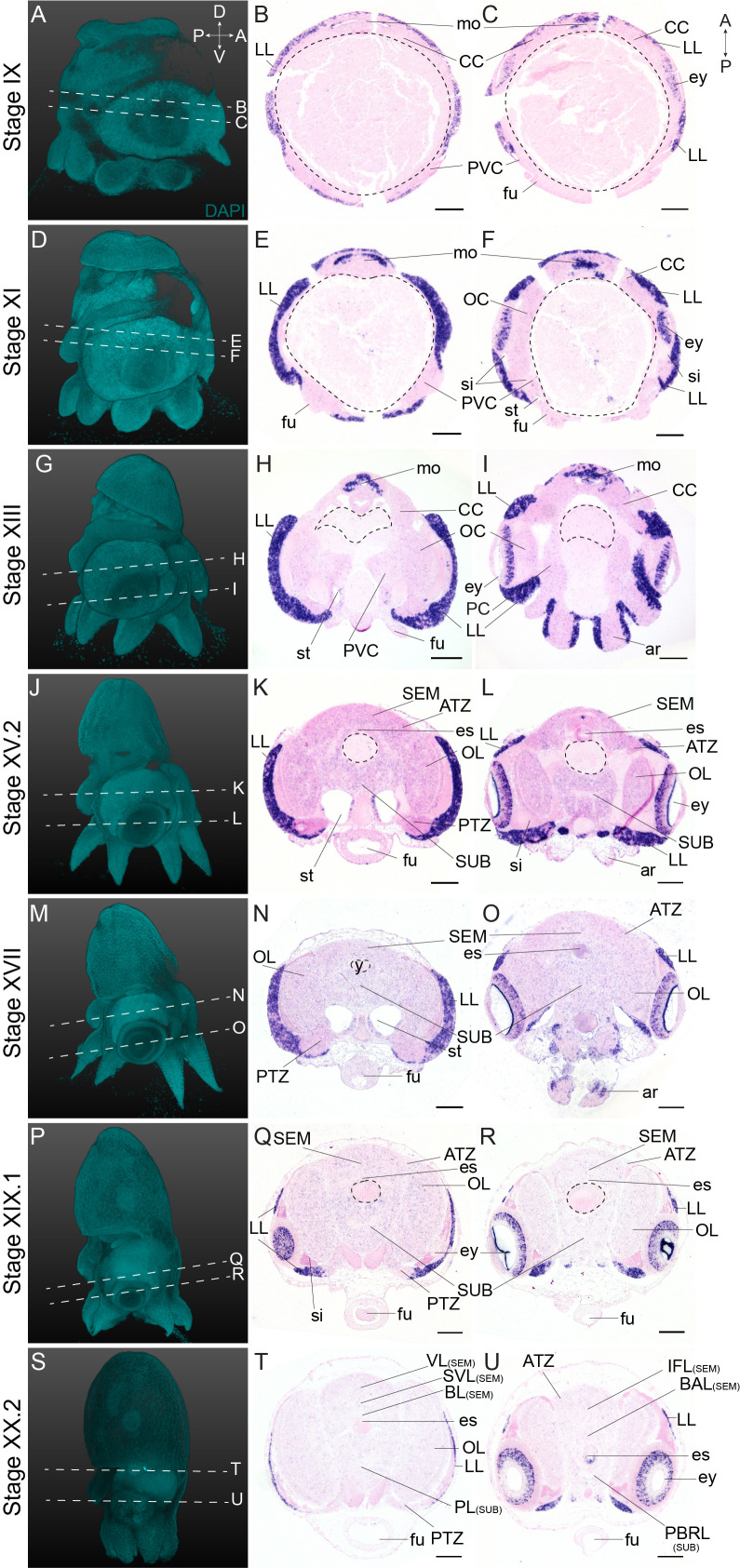 Figure 4—figure supplement 5.