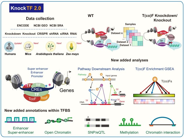 Graphical Abstract