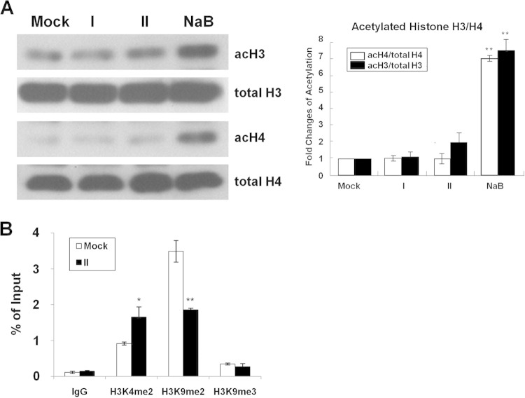 FIG 6