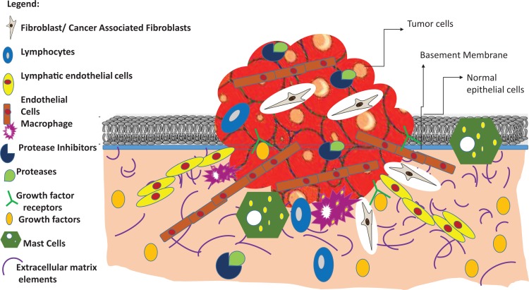 Figure 3.