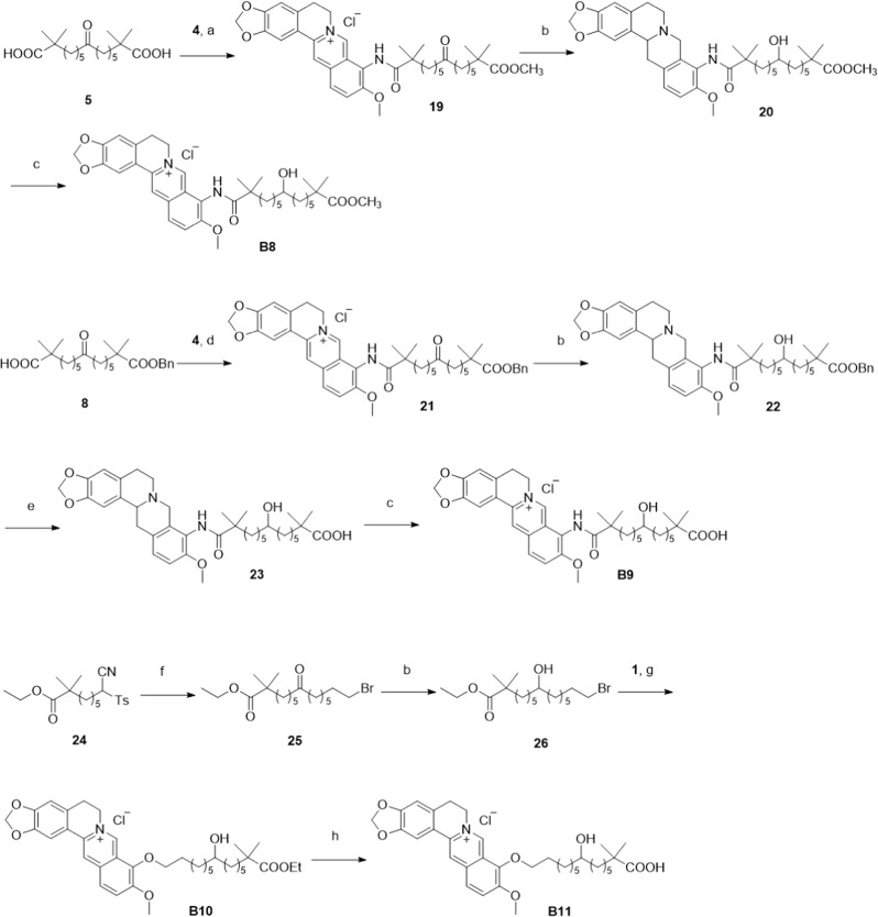 Scheme 5