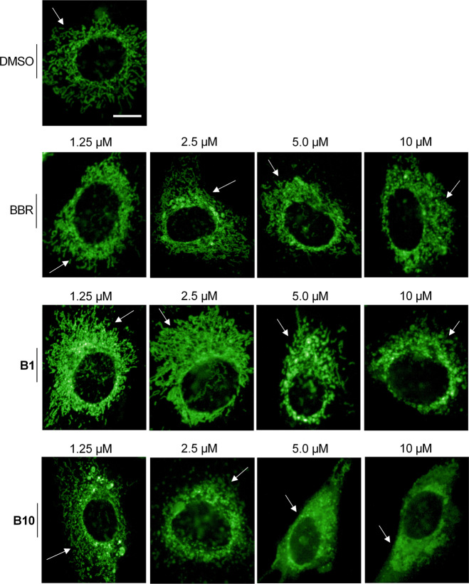 Fig. 4