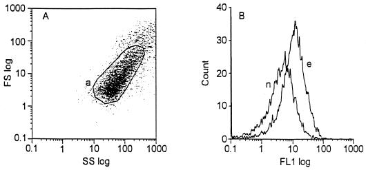 FIG. 1.