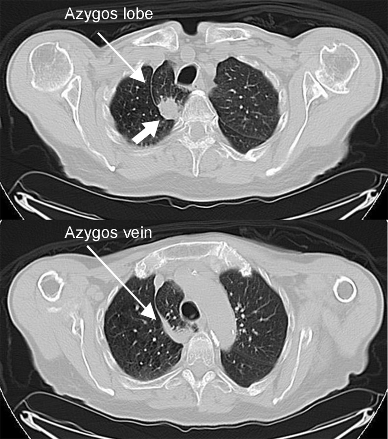 Figure 1: