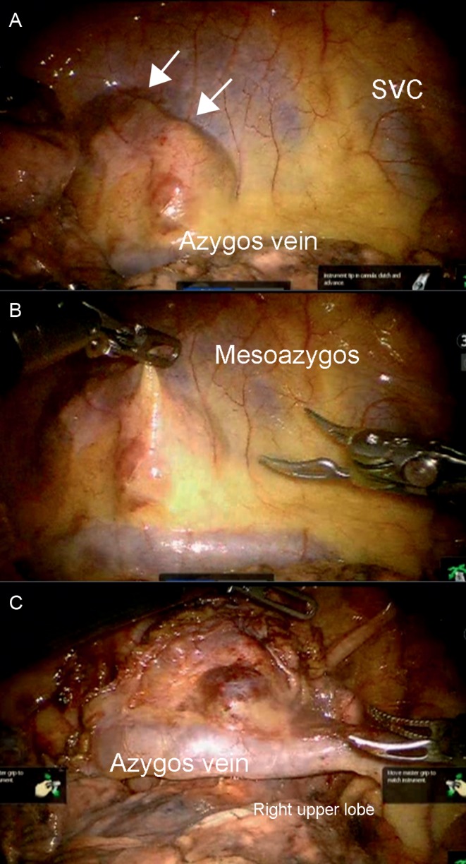 Figure 2: